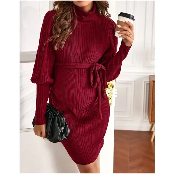 Maternity Ribbed Turtleneck Sweater Dress - Picture 8 of 13